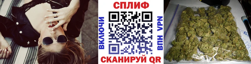 купить наркотики цена  Вяземский  Бошки марихуана Ganja 